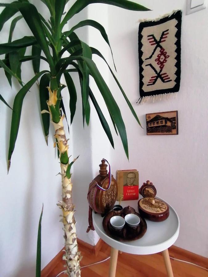 Apartment Danijel Višegrad エクステリア 写真
